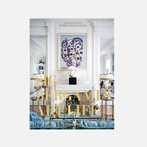 كتاب حياة الفن بقلم سيج بيرجامين