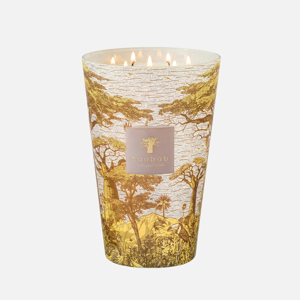 Sacred Trees Boukani 7-Wick Scented Candle, 6.5kg