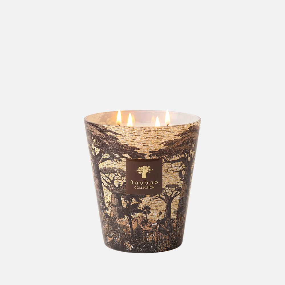 Sacred Trees Mankono 4-Wick Scented Candle, 1.1kg
