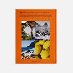 Capri Dolce Vita Book
