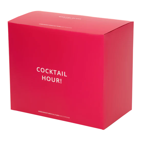 Martini Cocktail Glass Set of 2 – Multi Color Gift Pack