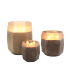 مريمية تيري لايت المدخنة (م)