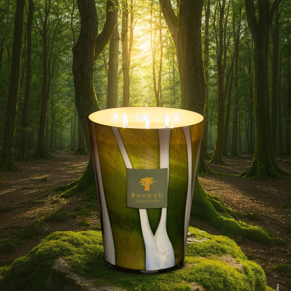 Sherwood Woods 7-Wick Scented Candle, 6.5kg