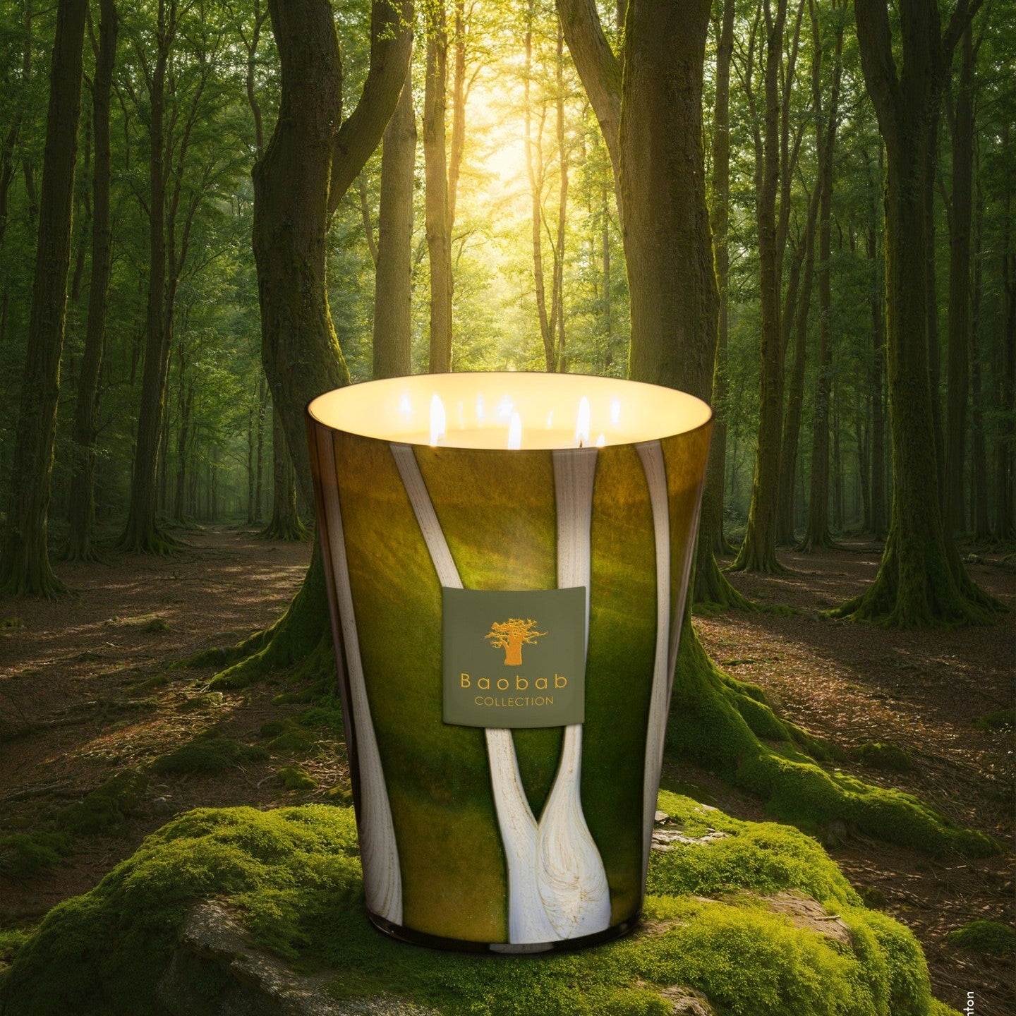 Woods Sherwood Scented Candle (6.5kg)
