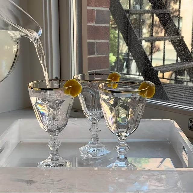 Dolce Vita Acrylic Wine Glass, Gold Rim