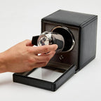 ملفوف الأشبال