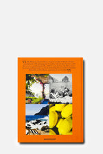 Capri Dolce Vita Book