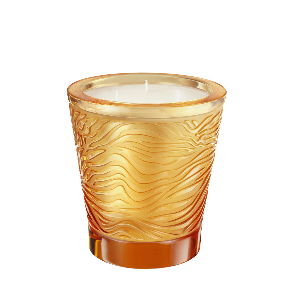 Jungle, Limited Edition Crystal Scented Candle  ( 750gm )
