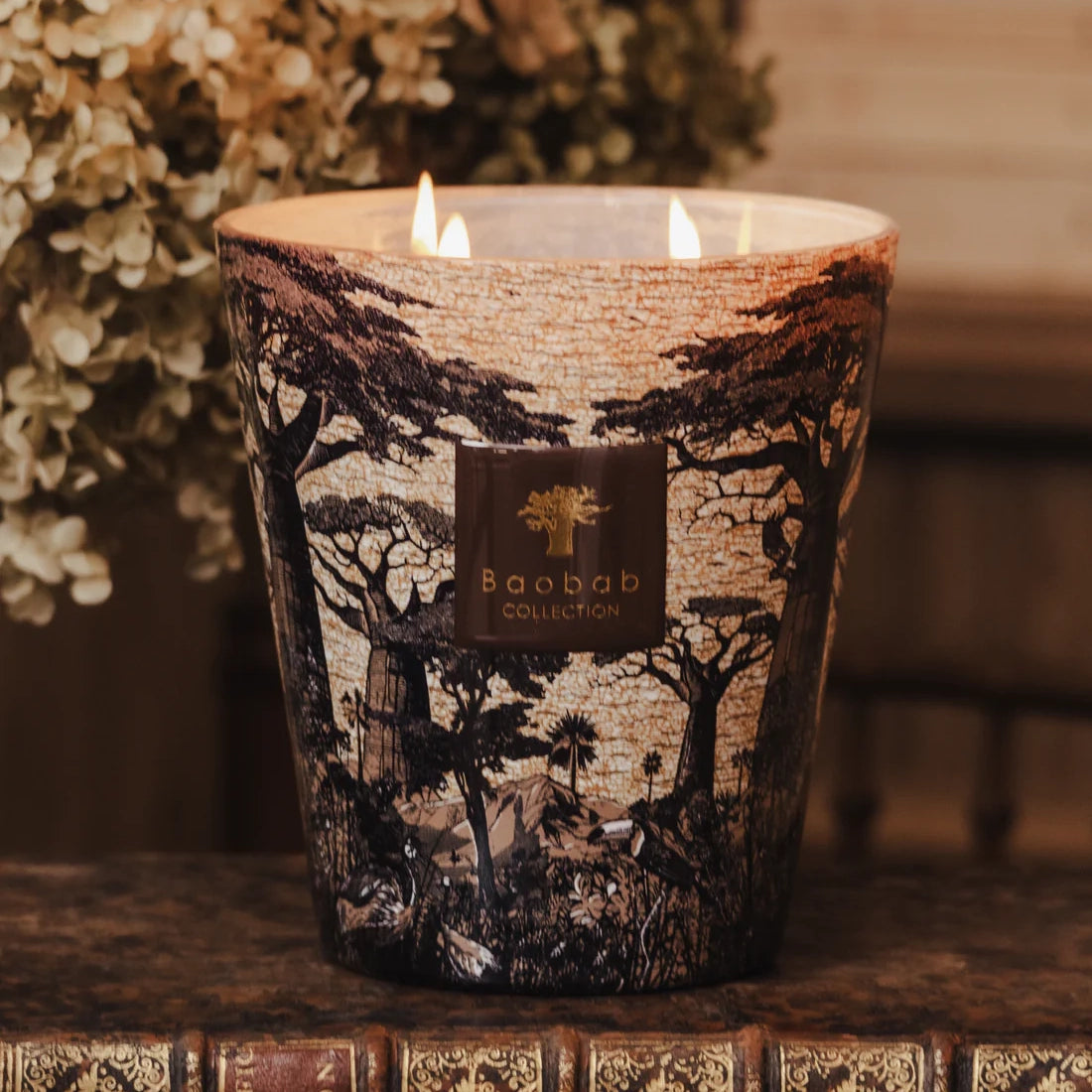 Sacred Trees Mankono 4-Wick Scented Candle, 1.1kg
