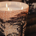 Baobab Sacred Trees Mankono Scented Candle – Max 35