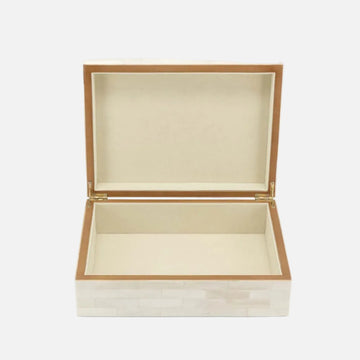 عظم الصندوق