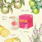 Ibiza Bohemia Travel From Home Candle ( 319 gm)