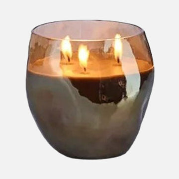 كيب شامبانيا سيج (S)