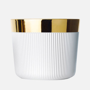 كأس الشمبانيا الأبيض، ستيلا