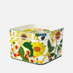 Eden Garden Chocolat Box, 12cm