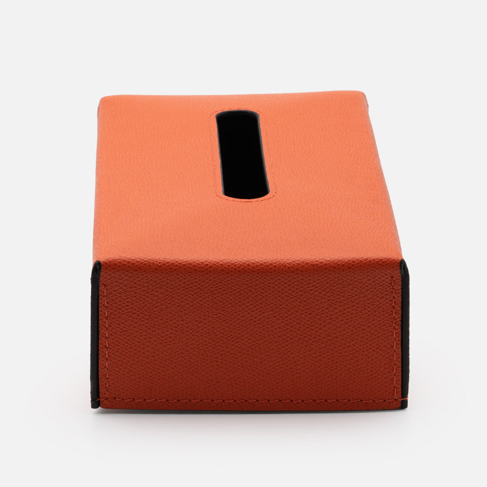 Ready Mango Tissue Holder