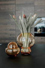 Vincent Bonbonniere, Amber