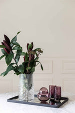 Vincent Bonbonniere, Plum