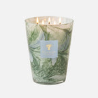 Leaves Marius 5-Wick Scented Candle, 3kg