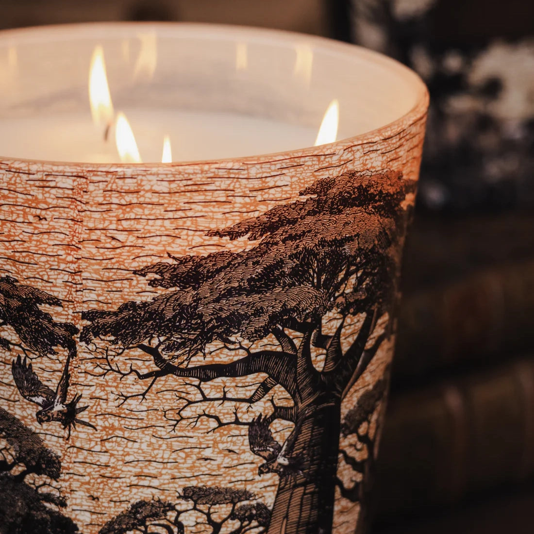 Baobab Collection Sacred Trees Mankono 5-wick scented candle in mouth-blown glass, 3kg, alternative angle