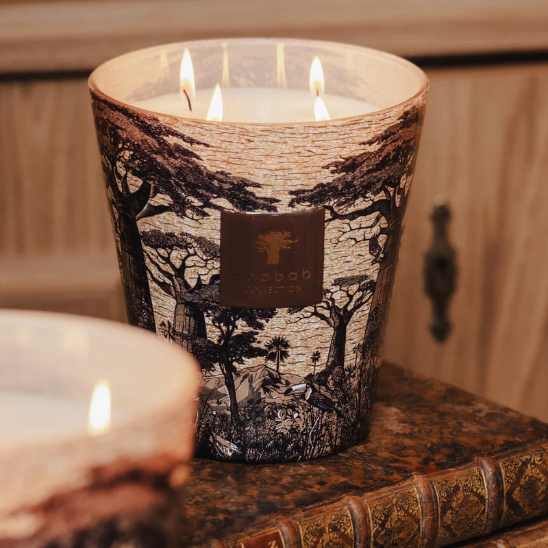 Sacred Trees Mankono 7-Wick Scented Candle, 6.5kg