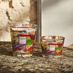 Provence 5-Wick Scented Candle, 3kg