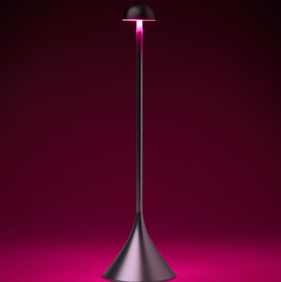 Steli Dome Protable LED Table Lamp, Silver