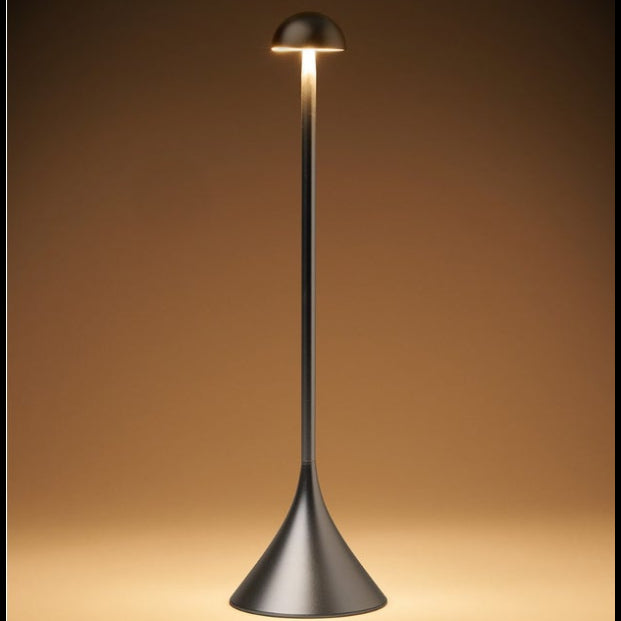 Steli Dome Portable LED Table lamp