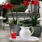 Mario Luca Giusti Pallina Jug, White, 2L in synthetic crystal, styled in a table setting