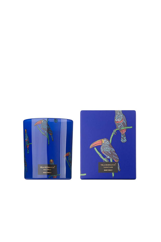 شمعة غابة توكان المطيرة من جانجلتوبيا