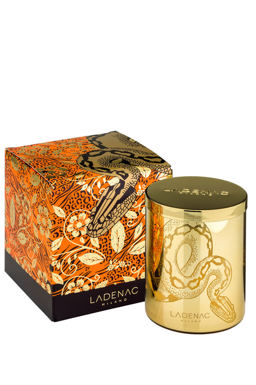 Africa Snake Candle In Jar, 350 g - Maison7